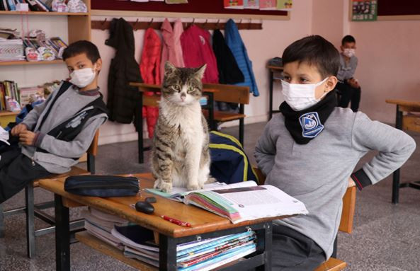 Okulun 161'inci öğrencisi 'Uykucu'