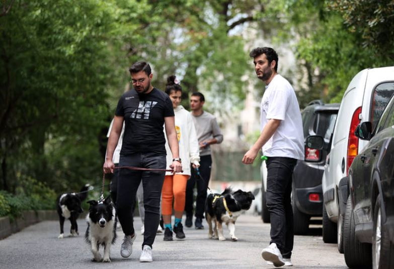 Onlar köpek gezdiricisi!  6 kişi başladılar, 6 bini geçtiler 