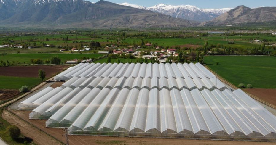 Devlet desteğiyle sera! Hem üretim hem de istihdam