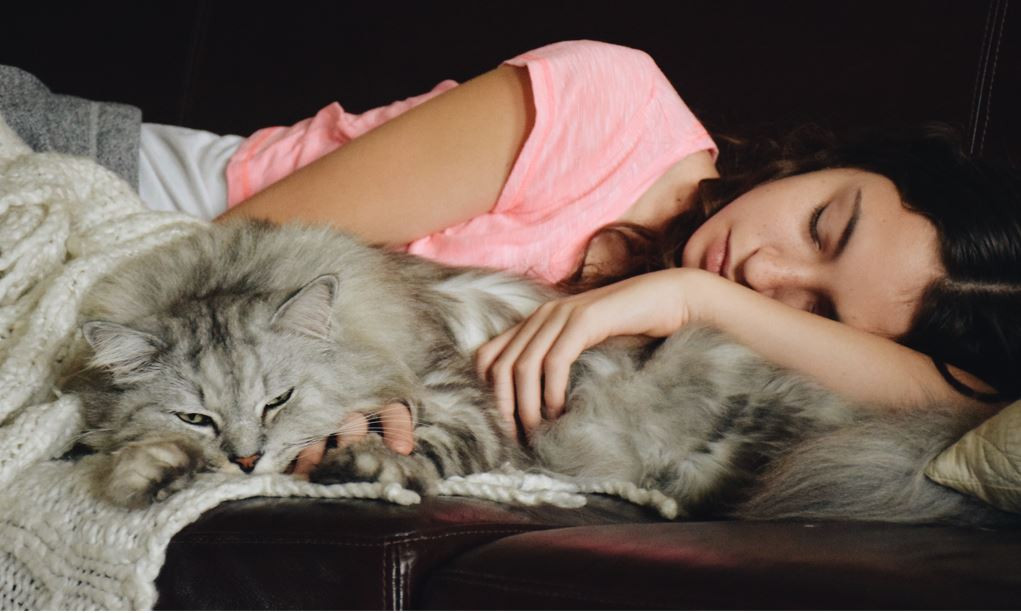 Kedi ile uyumak zararlı mı?