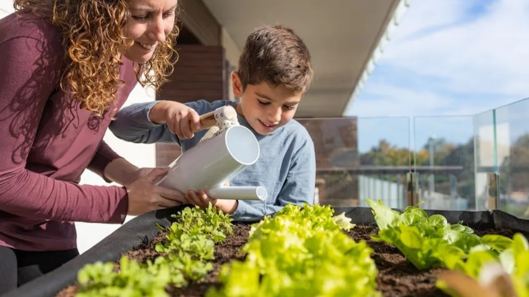 Balkonlar sebze-meyve bahçesine döndü