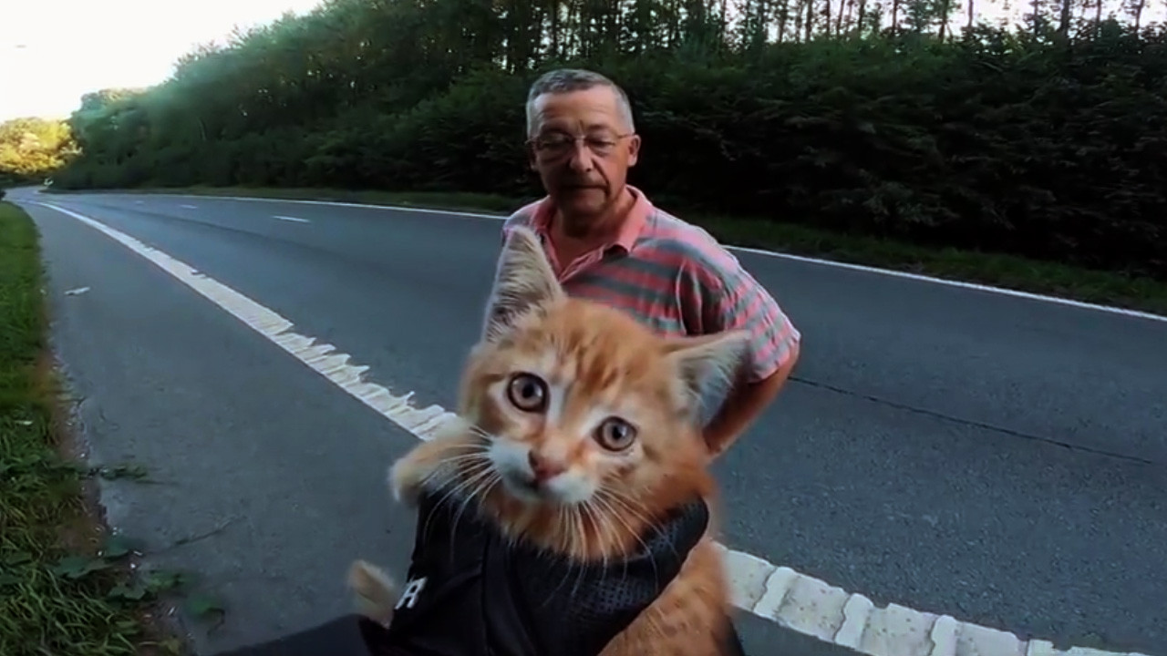 Motosiklet sürücüsü yavru kediyi böyle kurtardı