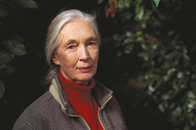 Jane Goodall (88 yaşında)