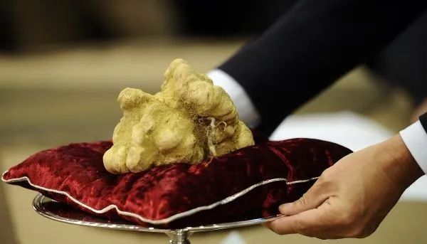 Dünyadaki en pahalı 5 yiyecek