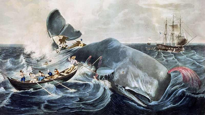 Nantucket Adası, Essex gemisi ve öfkeli balina
