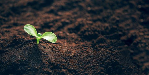 Tohum öncesi (pre-seed) yatırım turu: