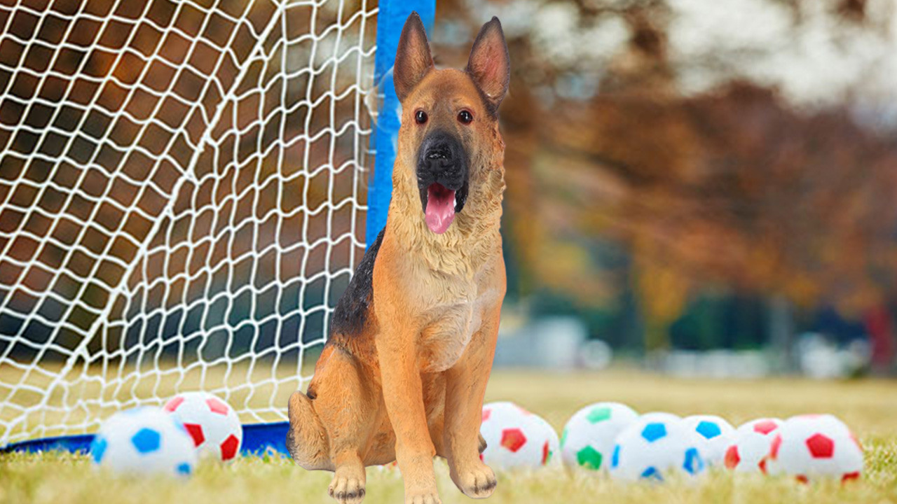 Hedefinizin gerçekte ne olduğunu biliyor musunuz?