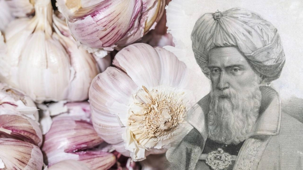 İbn-i Sina yıllar önce uyardı ancak biz yeni farkına varıyoruz!