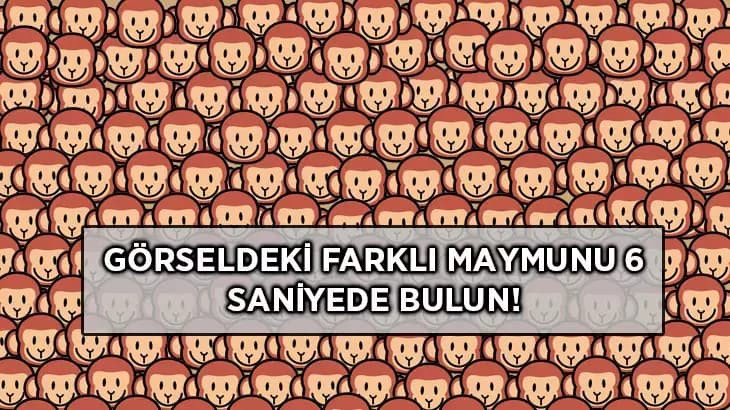 Görselde üzgün bir maymun bulunuyor: Keskin gözlere sahip olanlar bu farkı 6 saniyede buluyor!