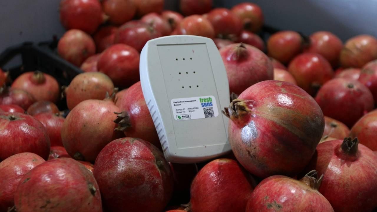 Yapay zeka ile meyve ve sebzelerin raf ömrü uzuyor