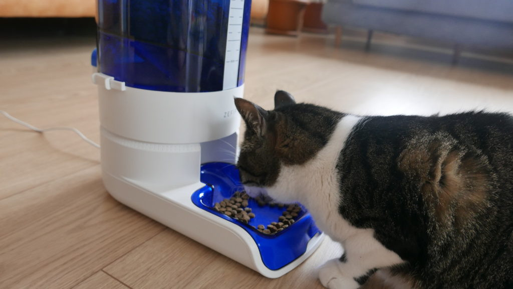 En iyi otomatik mama kabı hangisi? Aklınız evde kalmasın!