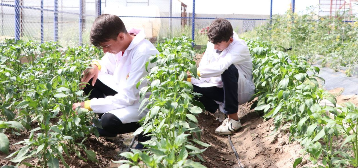 'Sürdürülebilir tarım ve gıda güvenliği' dersi liselerde başlıyor