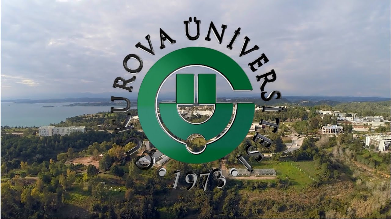 Üniversite yeni personel alım duyurusu paylaştı! KPSS 50 puan şartı konuldu!