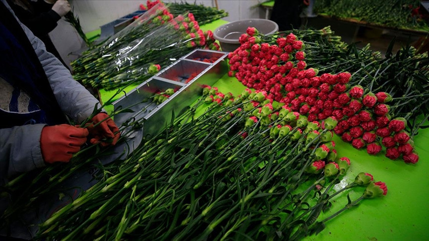 73 ülkeye 140 milyon dolarlık çiçek ihracatı