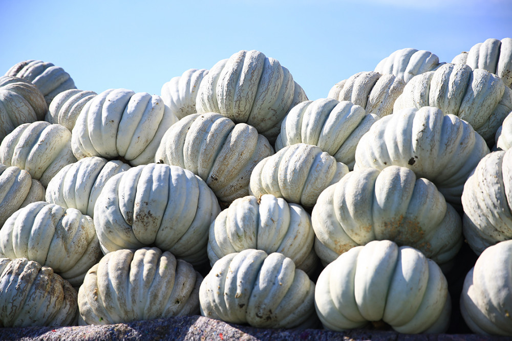 Sebze ve meyvelerdeki kimyasallara dikkat!