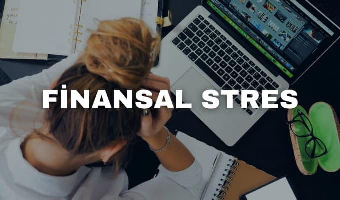 1. FİNANSAL STRES