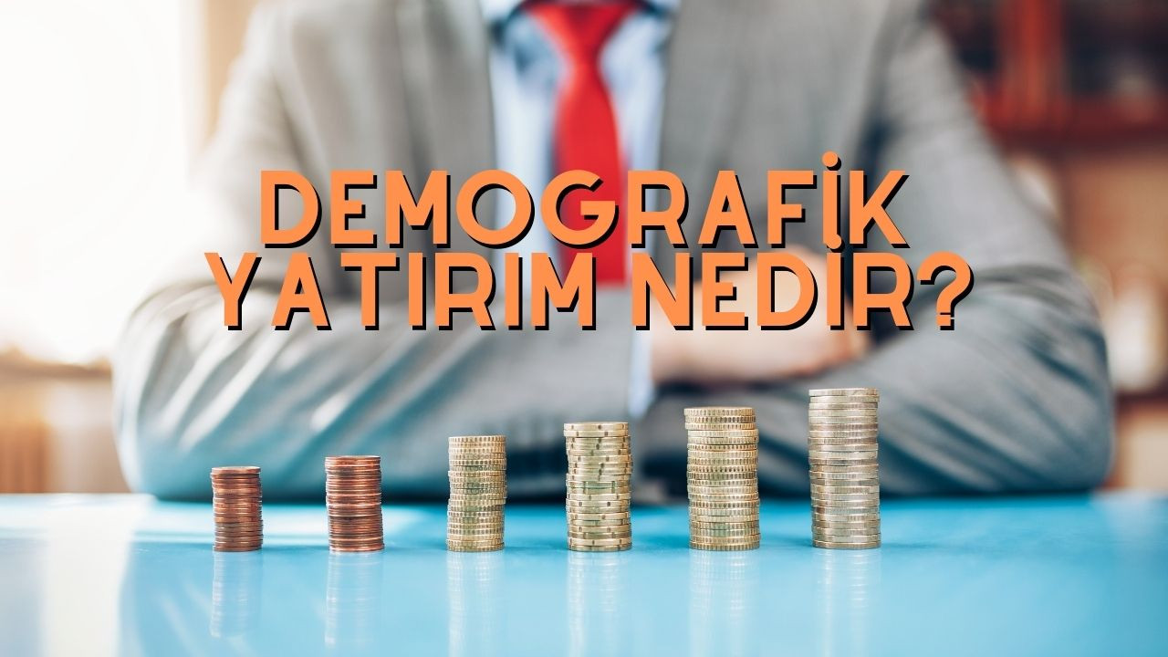 Demografik yatırım nedir? Nüfus ve yatırım fırsatlarının kesişimi