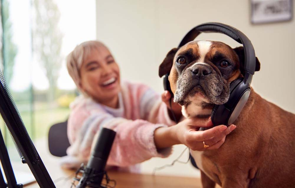 Evcil hayvanlar ne tür müzikten hoşlanıyor?