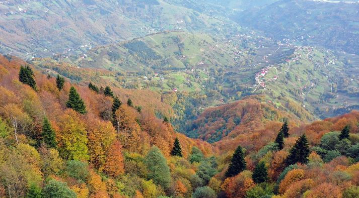 Hıdırnebi Yaylası Ekoturizm Yolu (Trabzon)