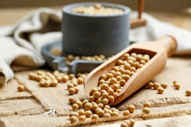 Kanserde soyaya dikkat! İşte dikkat edilmesi gerekenler...