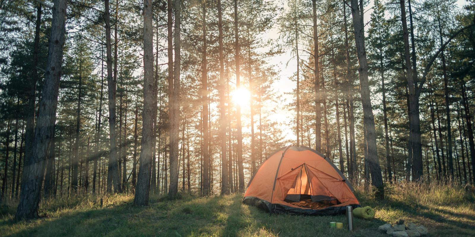 İstanbul'a yakın kamp alanları: İşte en çok tercih edilenler