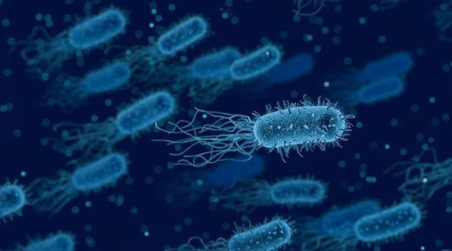 Süper bakteriye karşı yeni antibiyotik: Yapay zekayla geliştirildi
