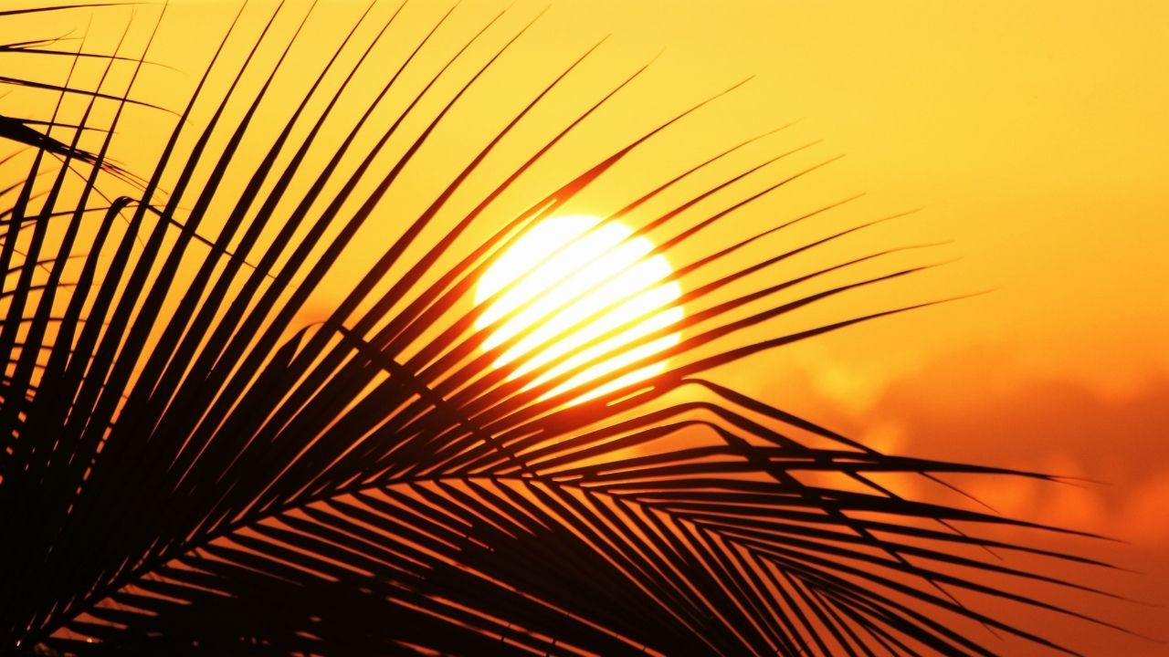 21 Haziran Yaz Gündönümü hakkında bilinmesi gerekenler