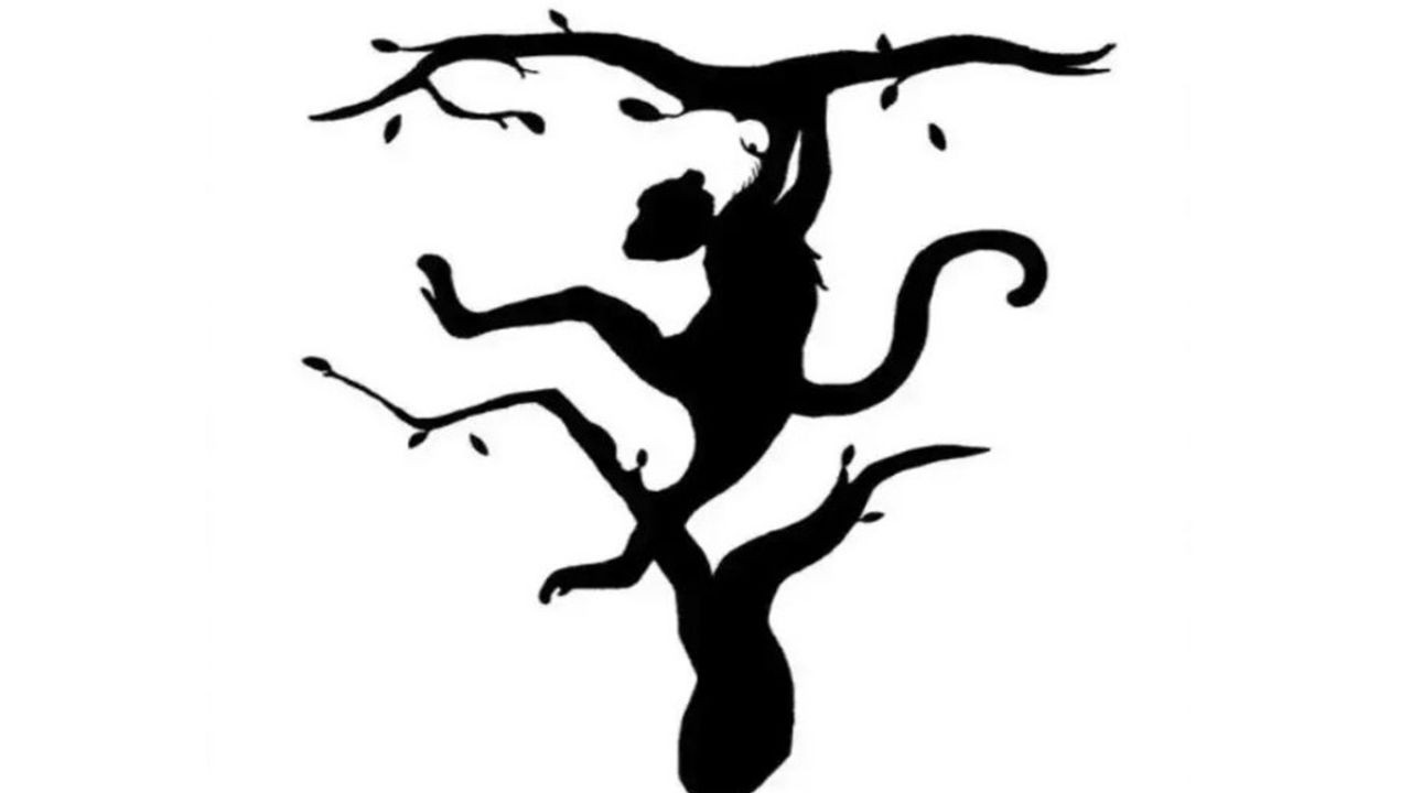 Kişilik Testi: Resimde ilk gördüğünüz hayvan kişilik özelliklerinizi belirtiyor