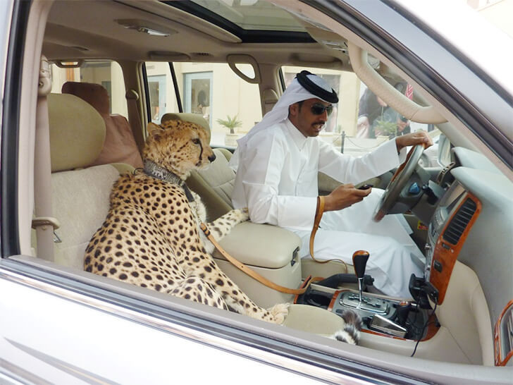 Dubai’de bu kadar da olmaz dedirten 17 şey