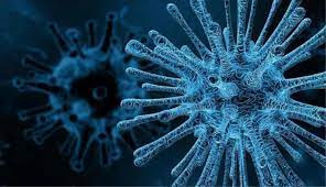 Prof. Dr. Emine Parlak Eris virüsüne karşı uyarıyor!