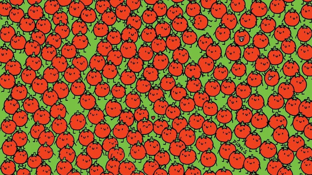 Domateslerin arasındaki gizli çilekleri bulan kazanıyor!