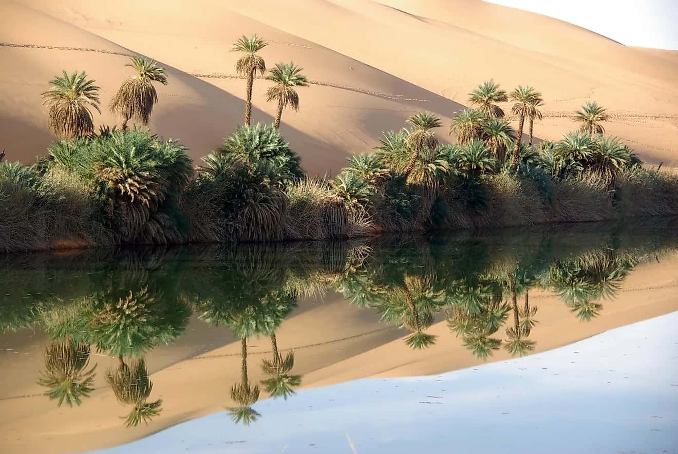 Sahra Çölü'nün gizemli olayı: 21.000 yılda bir toprakları yemyeşil oluyor! Peki nasıl?