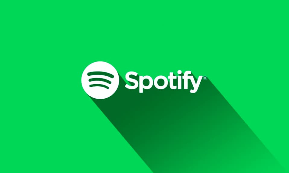 Spotify'dan yeni lüks abonelik paketi: 