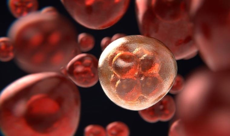 50 yaş altı kanser vakalarında büyük artış!