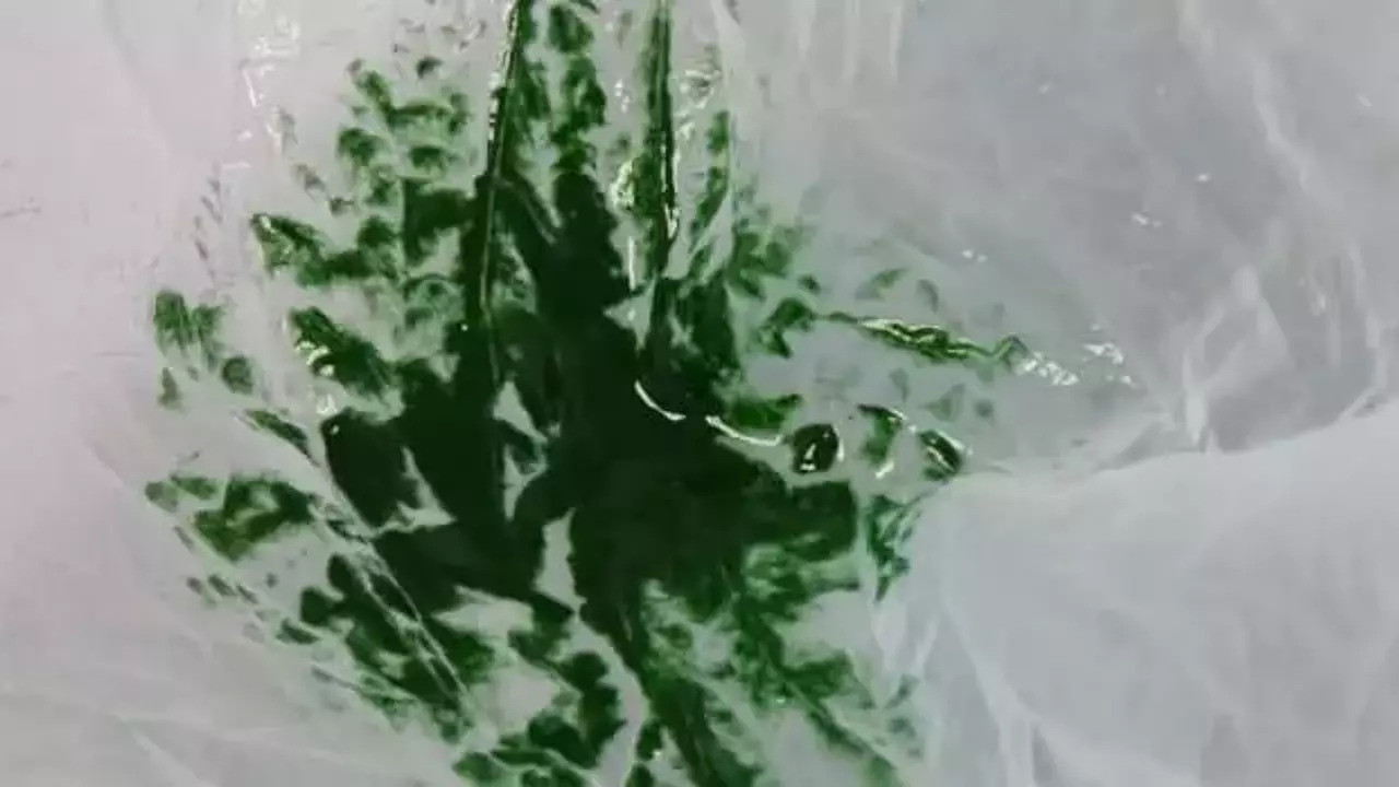 100 gram,1000 liraya! Türkiye'nin eşsiz ürünü şaşırtıyor!