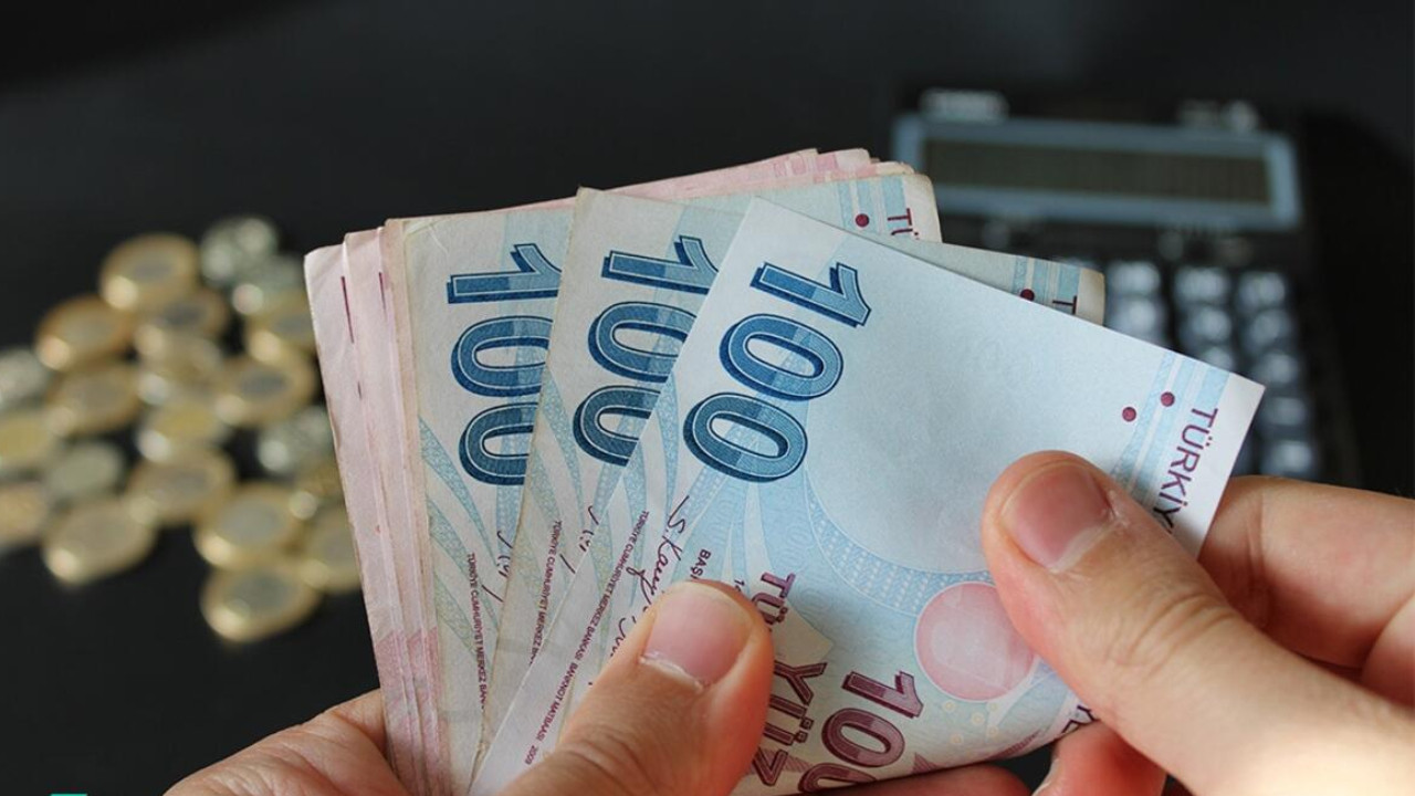 2024 Kasım Ayı Aile Destek Ödemeleri Yattı Mı? İşte, 2024 Aile Destek Ödemeleri Sorgulama Ekranı