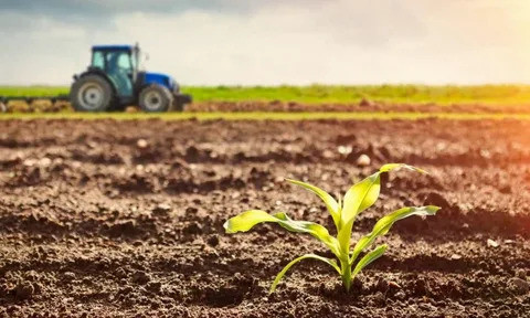 Bakan Yumaklı’dan Beklenen Duyuru Geldi! Destek Ödemeleri Hesaplara Yatıyor…