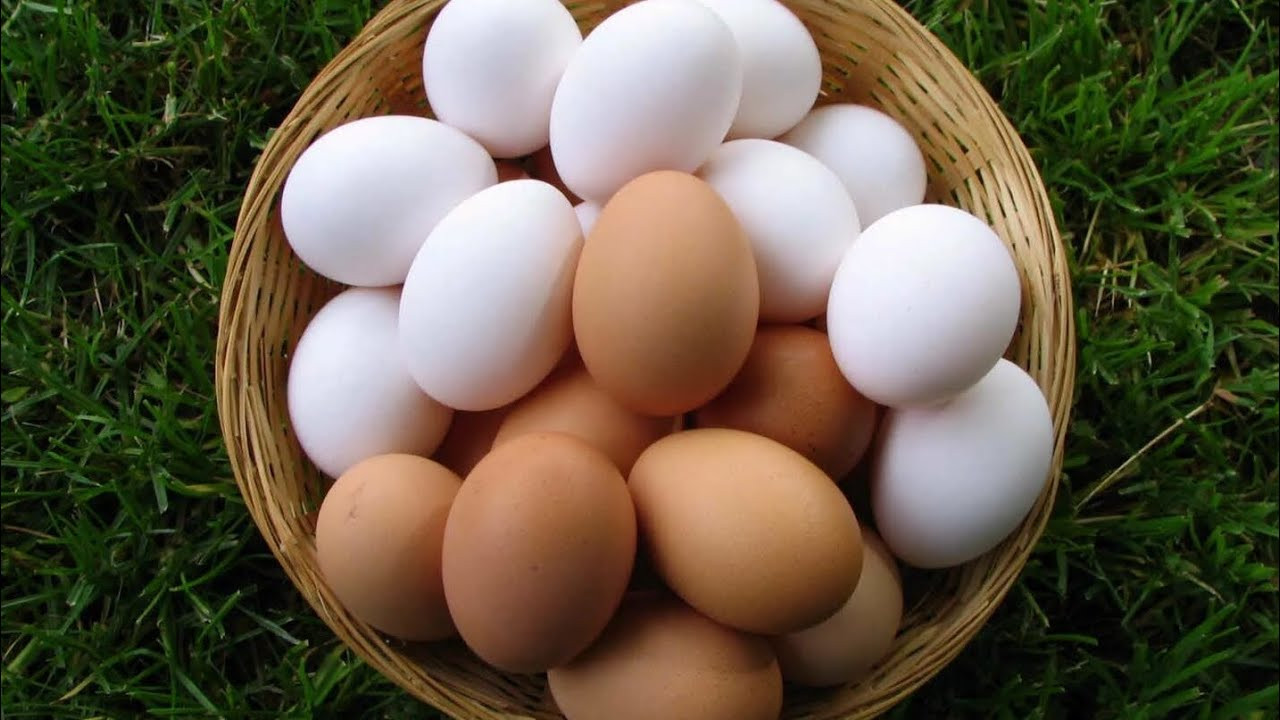 Karatay’dan “sahurda yumurta tüketimine dikkat” açıklaması geldi!Yanlış pişirme faydaları yok ediyor