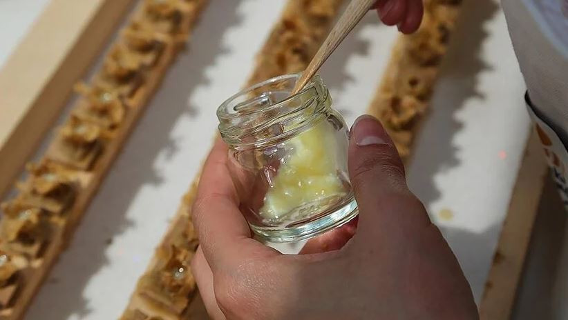 Arı sütü ve polenine dışarıdan herhangi bir madde eklenmeyecek