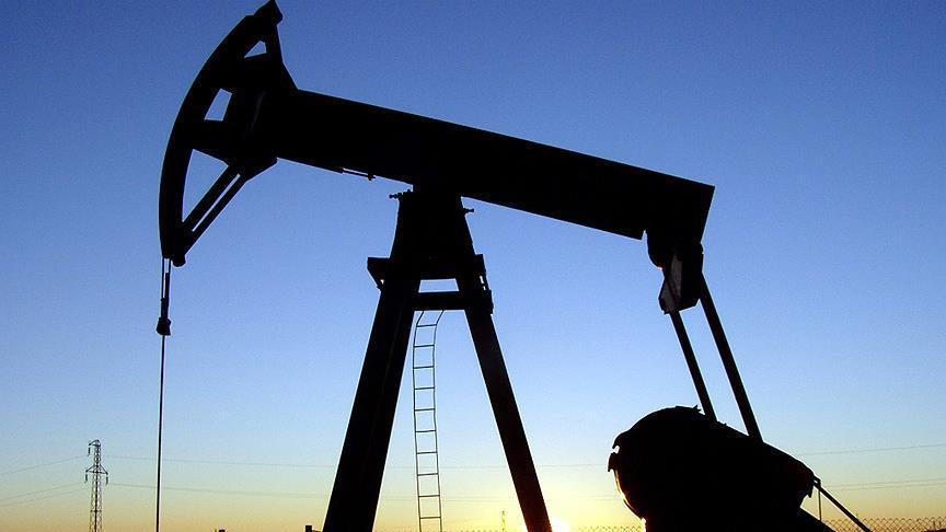 Türkiye'nin petrol ithalatı şubatta arttı