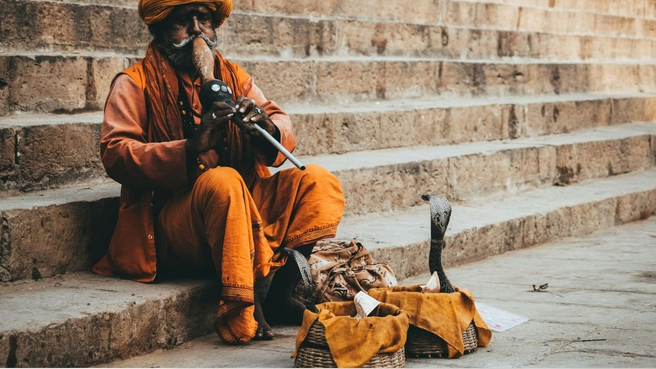 Kobra Etkisi ve İstenmeyen Sonuçlarından Kaçınma