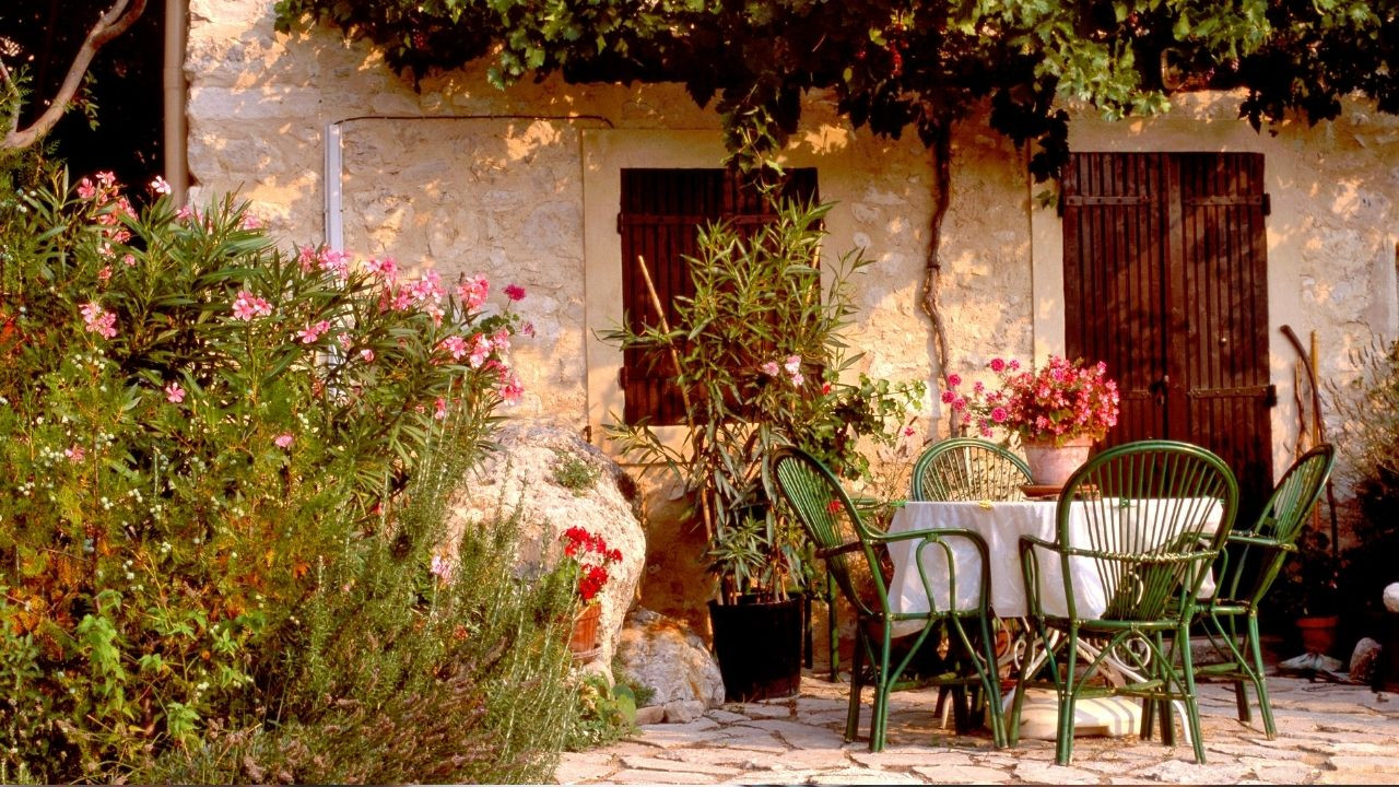 Sarı ve Sıcak Yaz Günleri