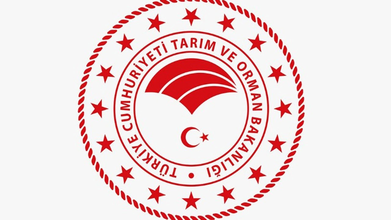 Tarım ve Orman Müdürlüğüne ve Kaymakamlıklara 250 TYP Personel Alımı Yapılacak!