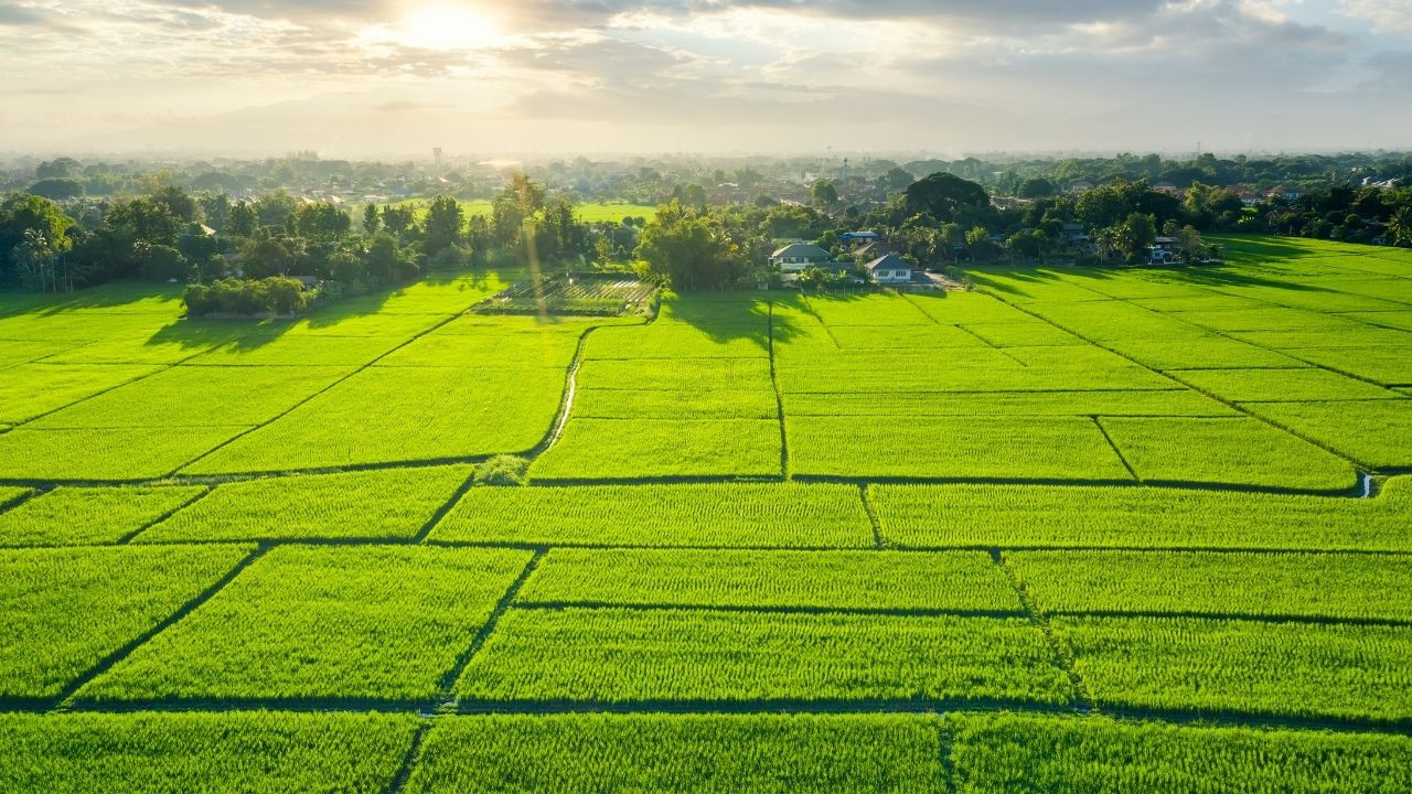 En Çok Arsa Satışı Yapılan Bölgeler Belli Oldu! O bölgelerde Arsa Alan İse Daha Karlı Çıkıyor!