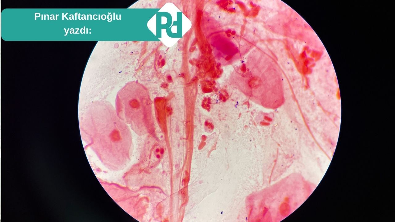 Sağlığın Anahtarı: Mikrobiyota