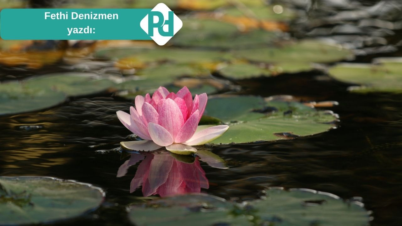 Savunma Refleksi