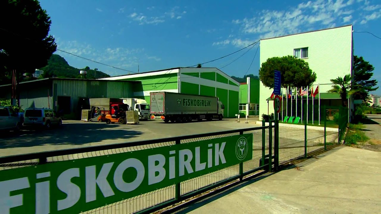 FİSKOBİRLİK Fındık Alım Tarihi Yayınlandı! Üreticilere Çağrıda bulundu!