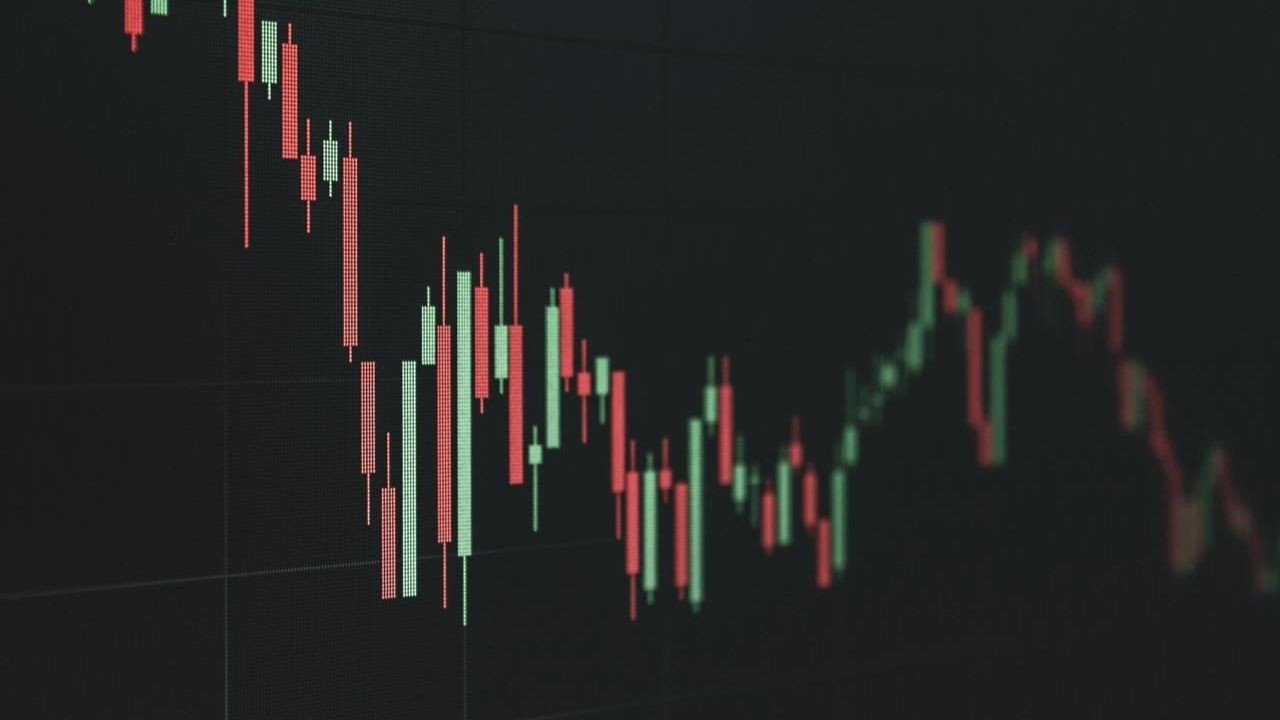 Ayı Piyasalarında Yol Almak: Düşüş Dönemlerinde Hayatta Kalma ve Başarılı Olma Stratejileri