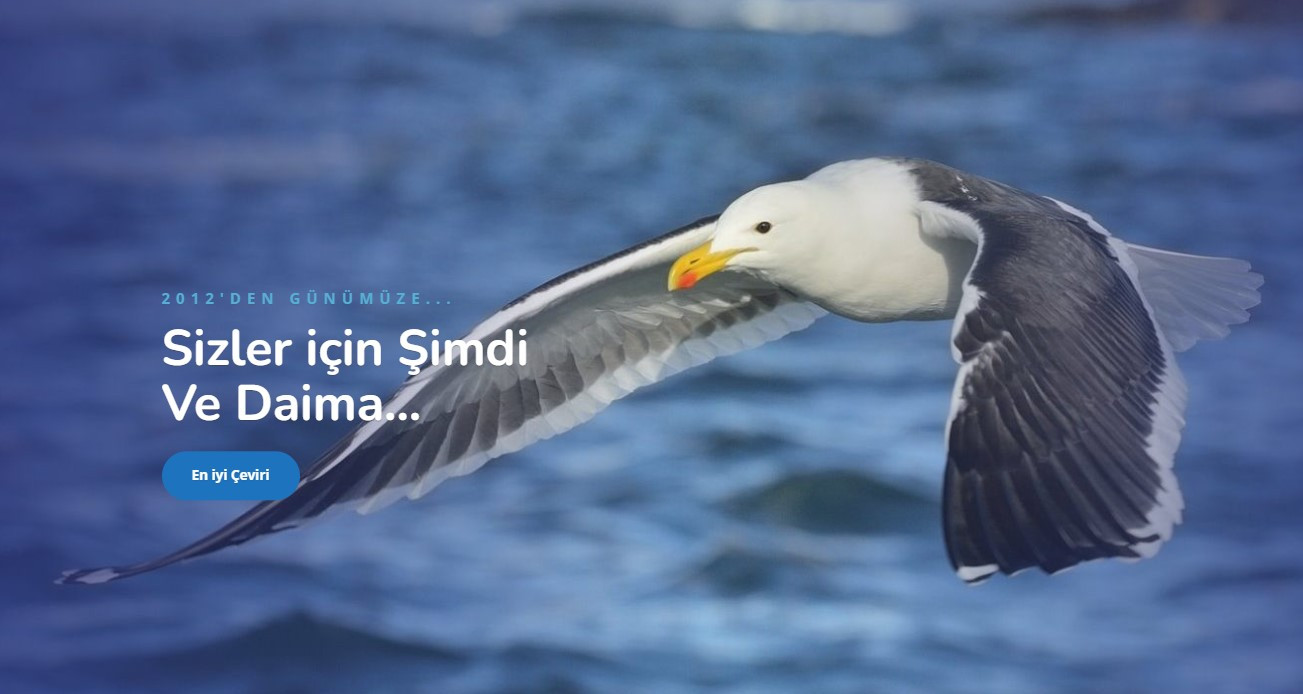 Sözlü Çevirmen ve Farsça Çevirmen Seçerken Nelere Dikkat Edilmeli