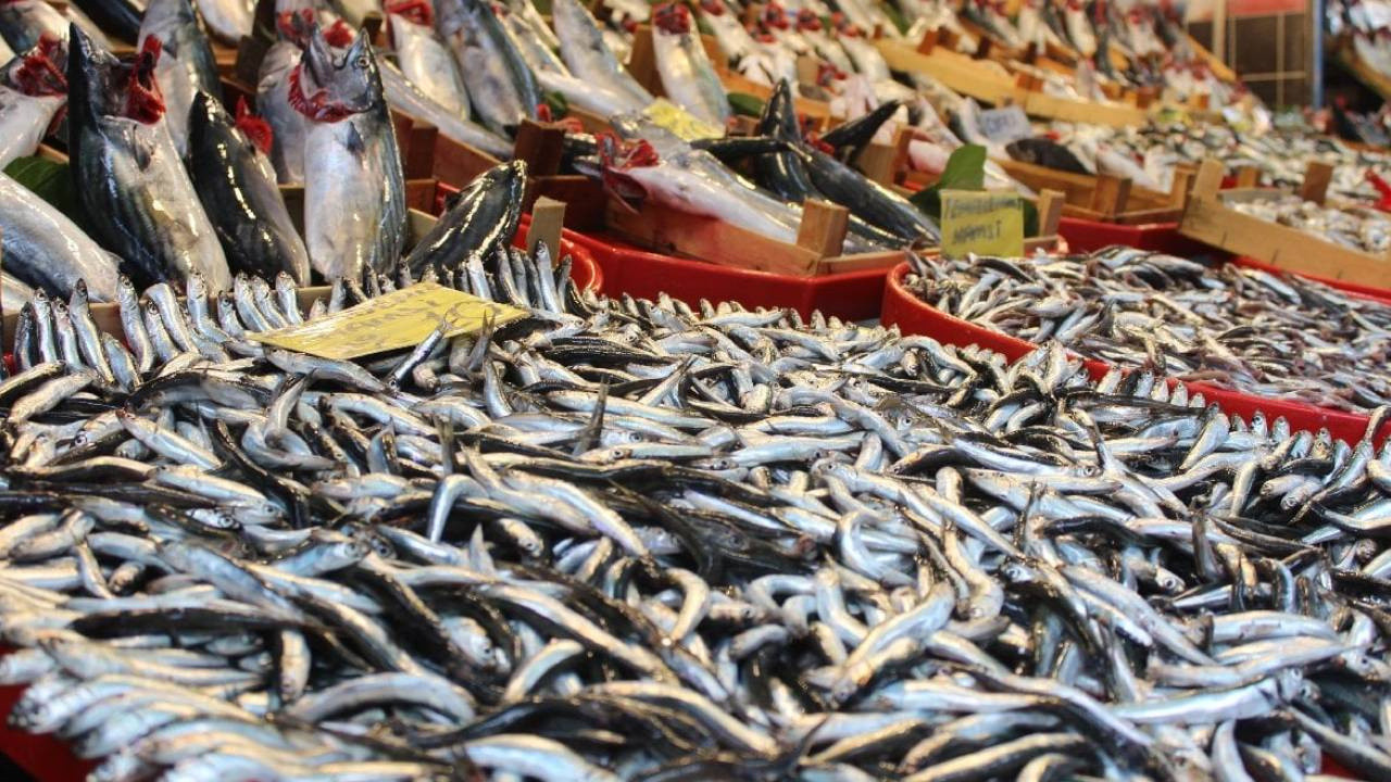 Palamuttan Sonra, Hamsi Bolluğu Yaşandı! Balık fiyatları ise komple değişti!